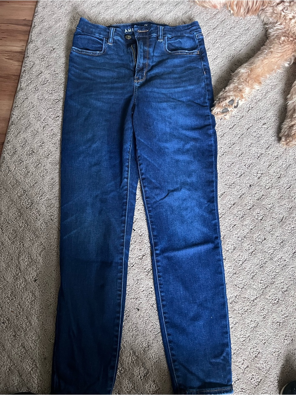 American Eagle Outfitters Dark Blue Skinny Jeans